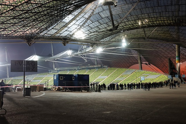 大马健儿挑 大马健儿挑