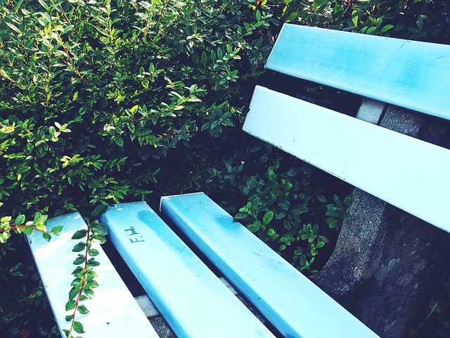 案例分析 案例分析